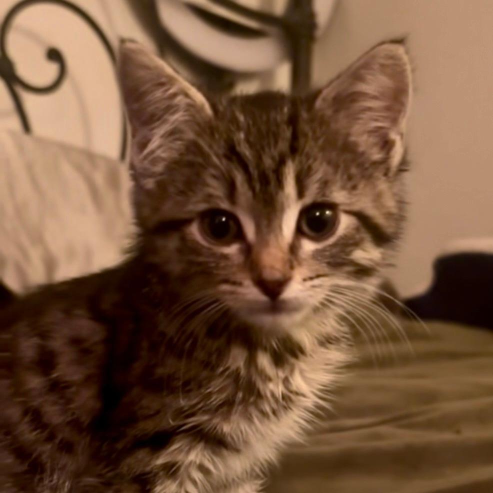 Eloise