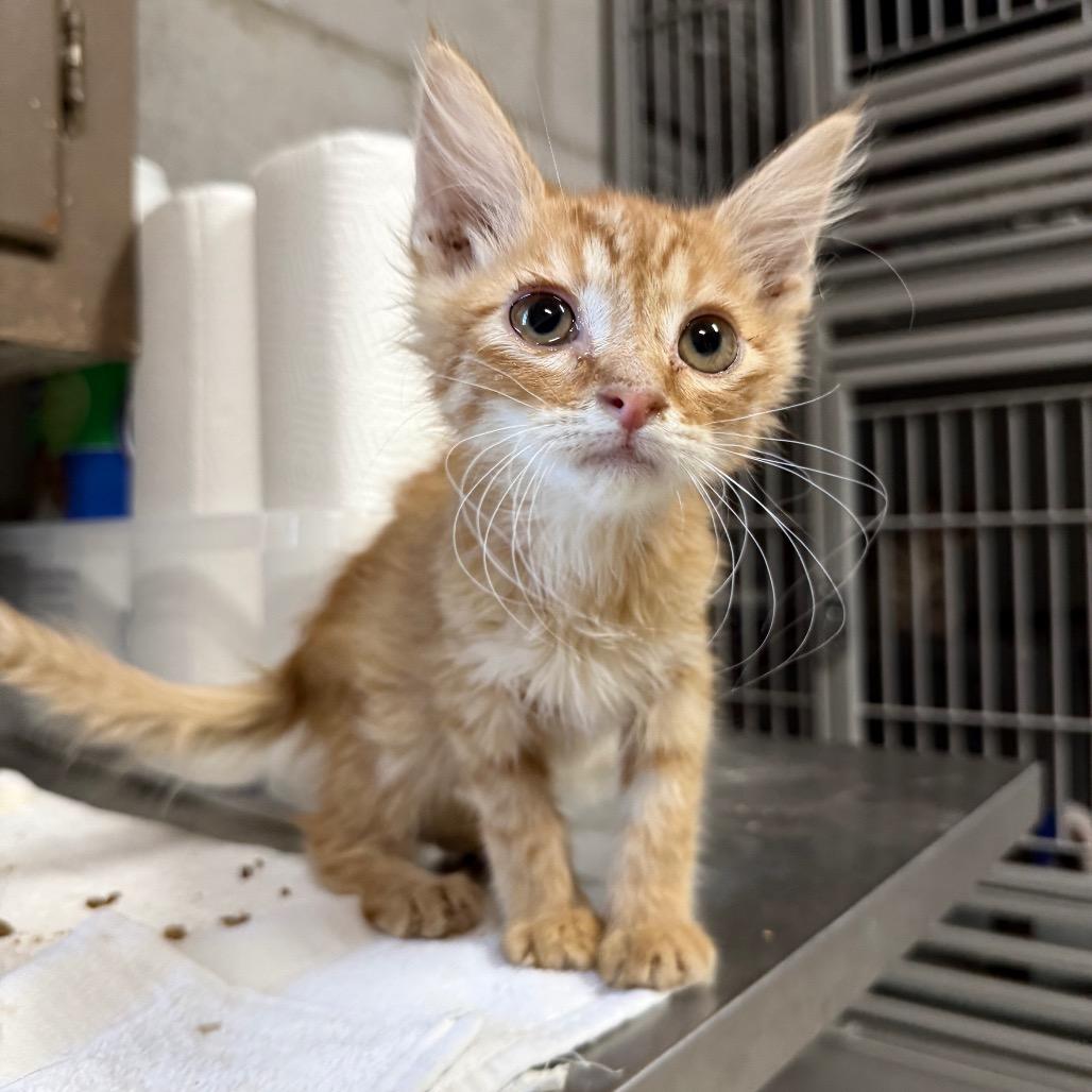 Garfield 061202