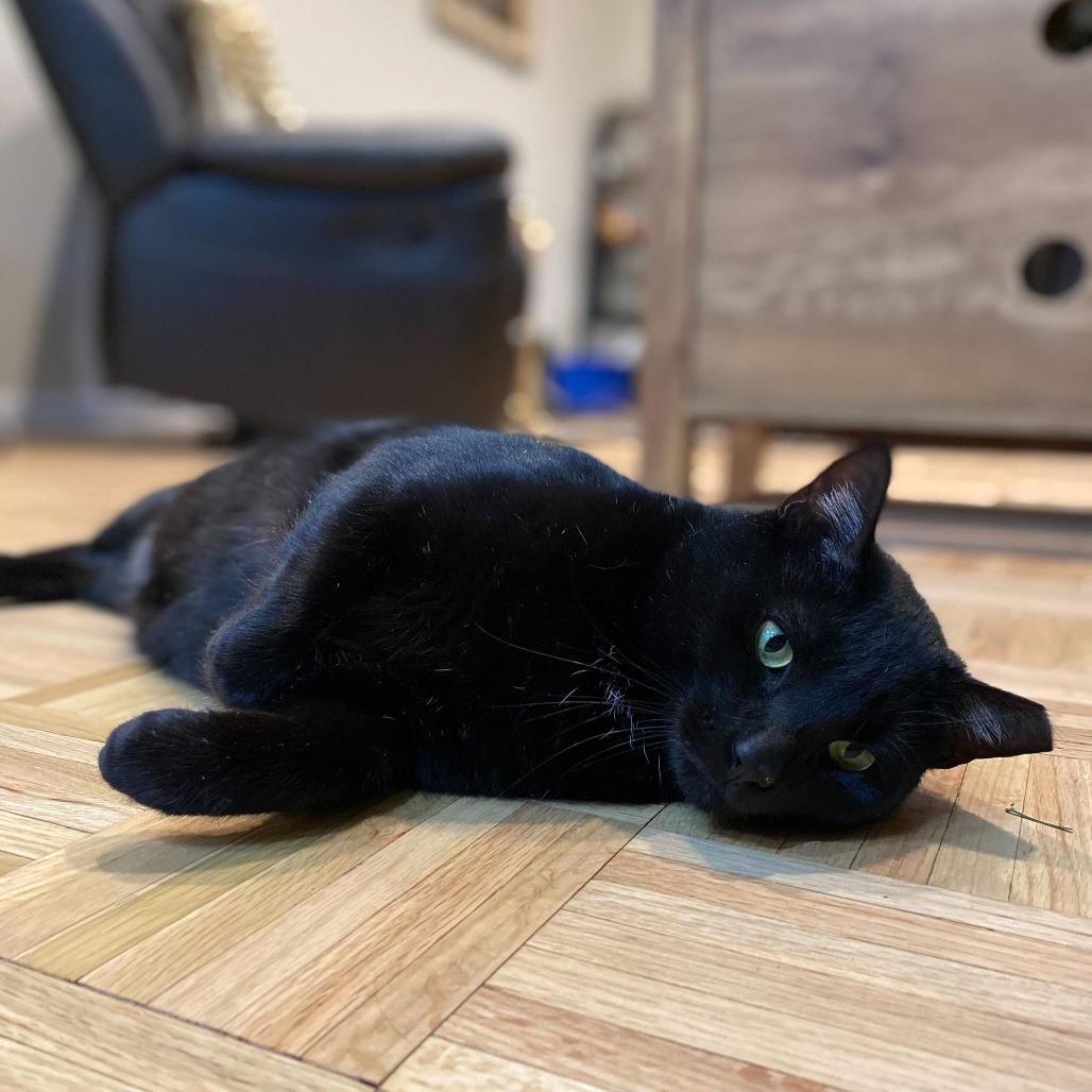 Binx