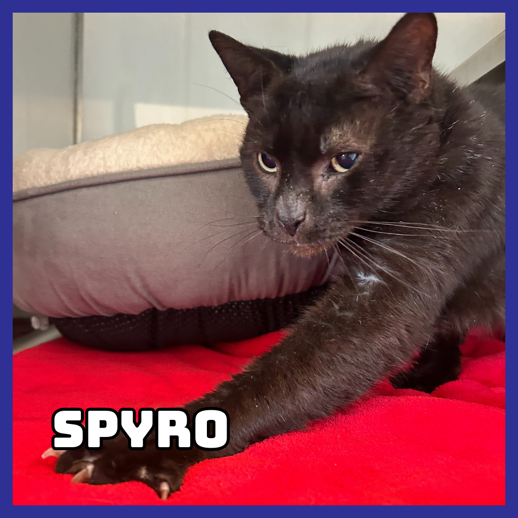 Spyro 