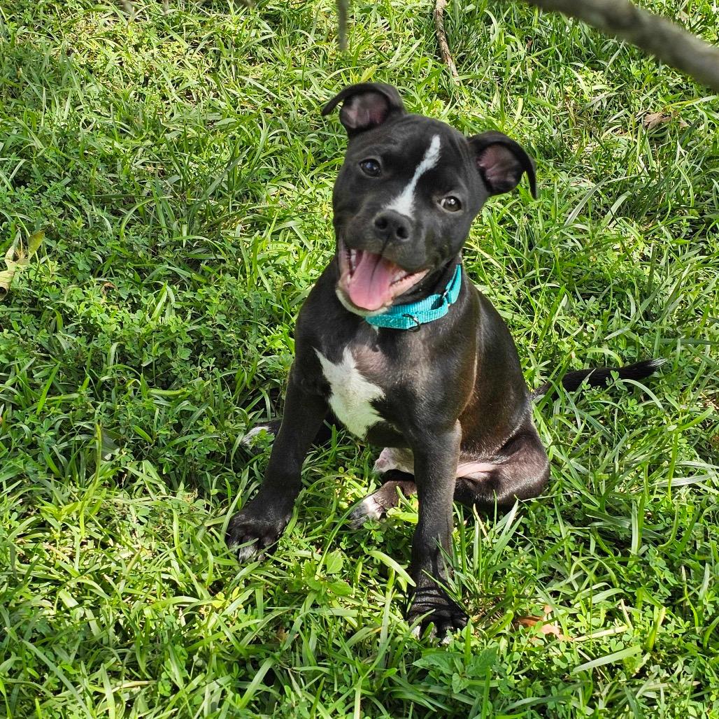 Picture of Grayson