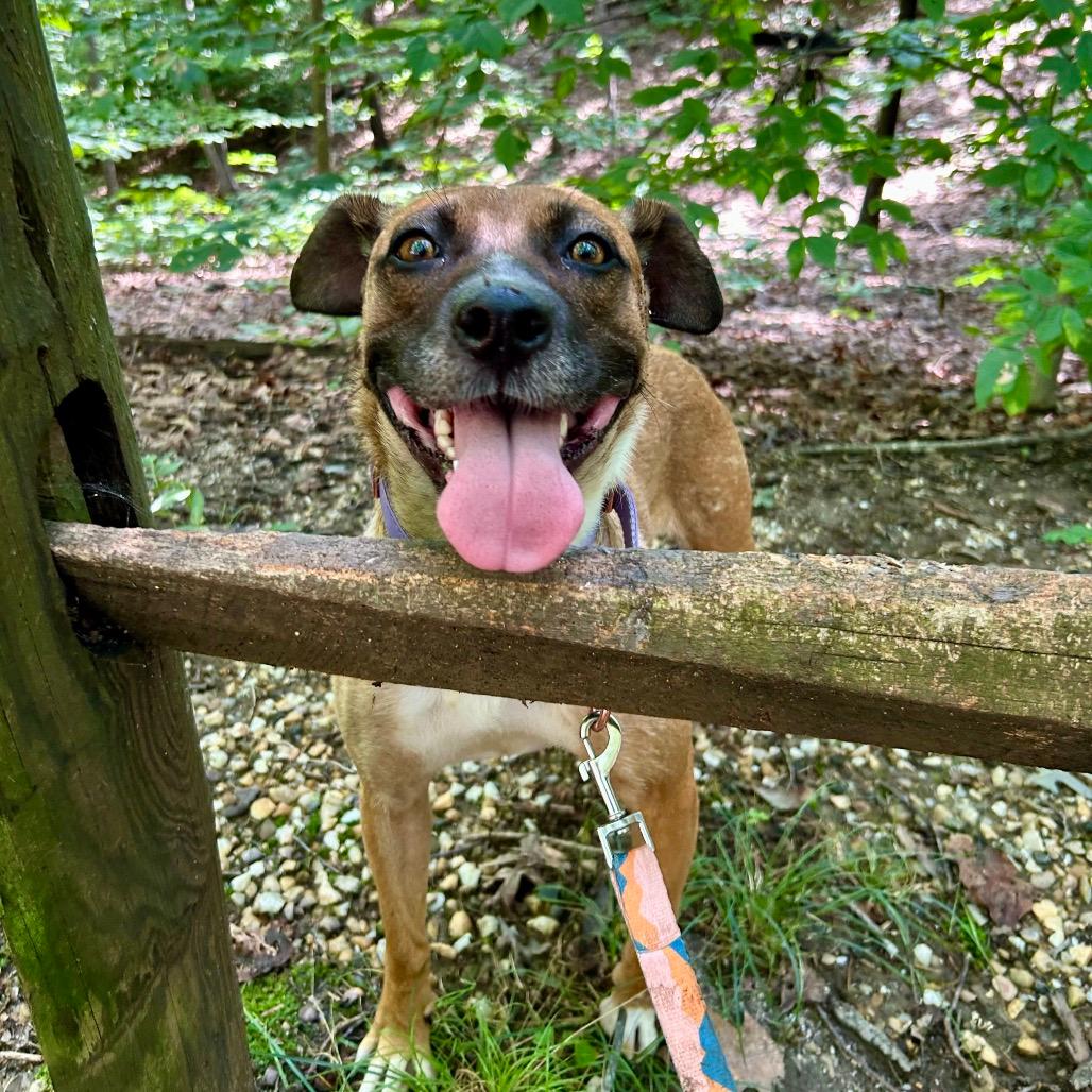 Tilly