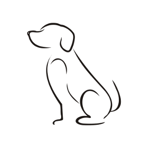 Picture of Sadie