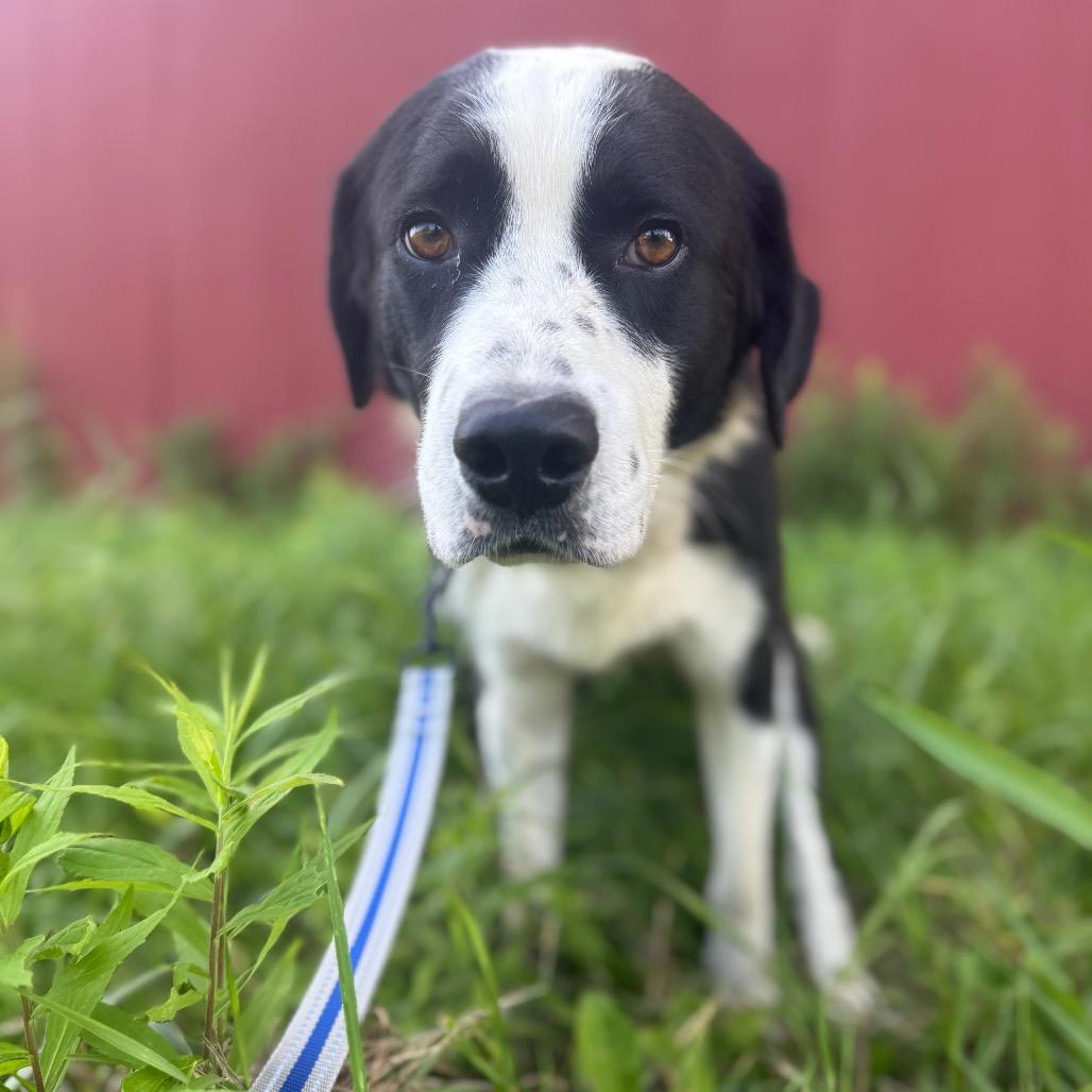 Picture of Benny