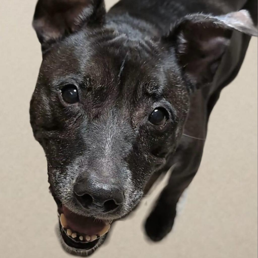 Bessie (Best Friend)