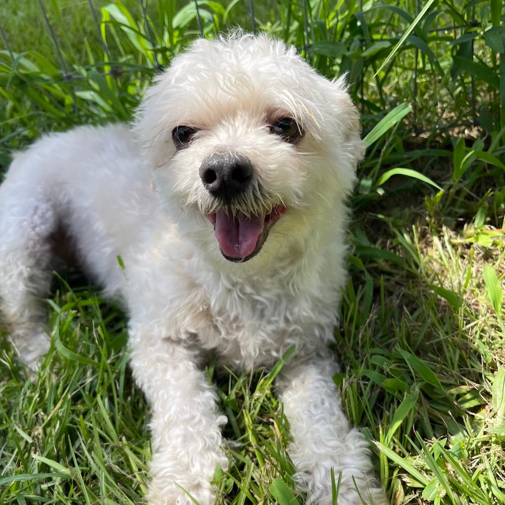 Picture of Lovie Bubby