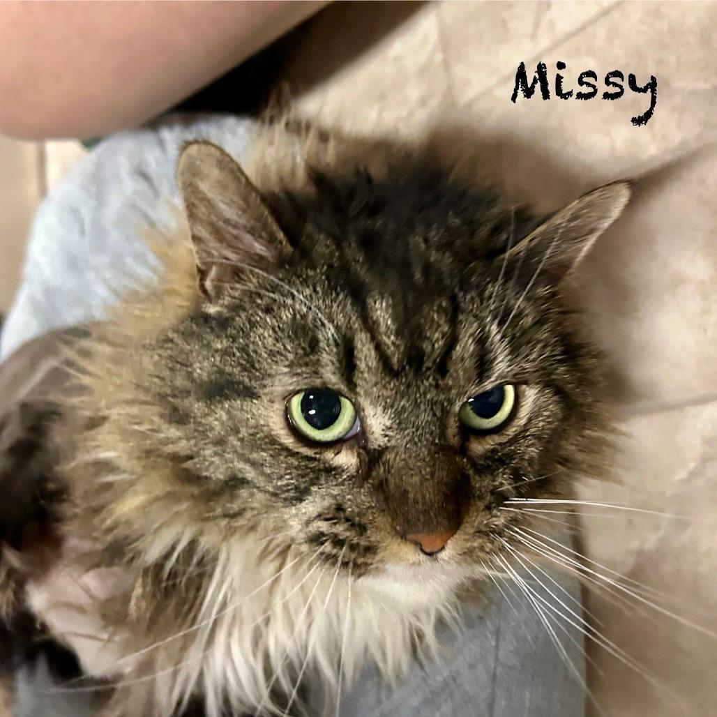 Missy