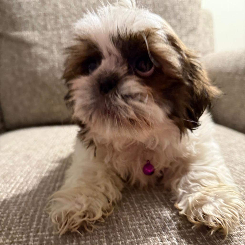 Fannie