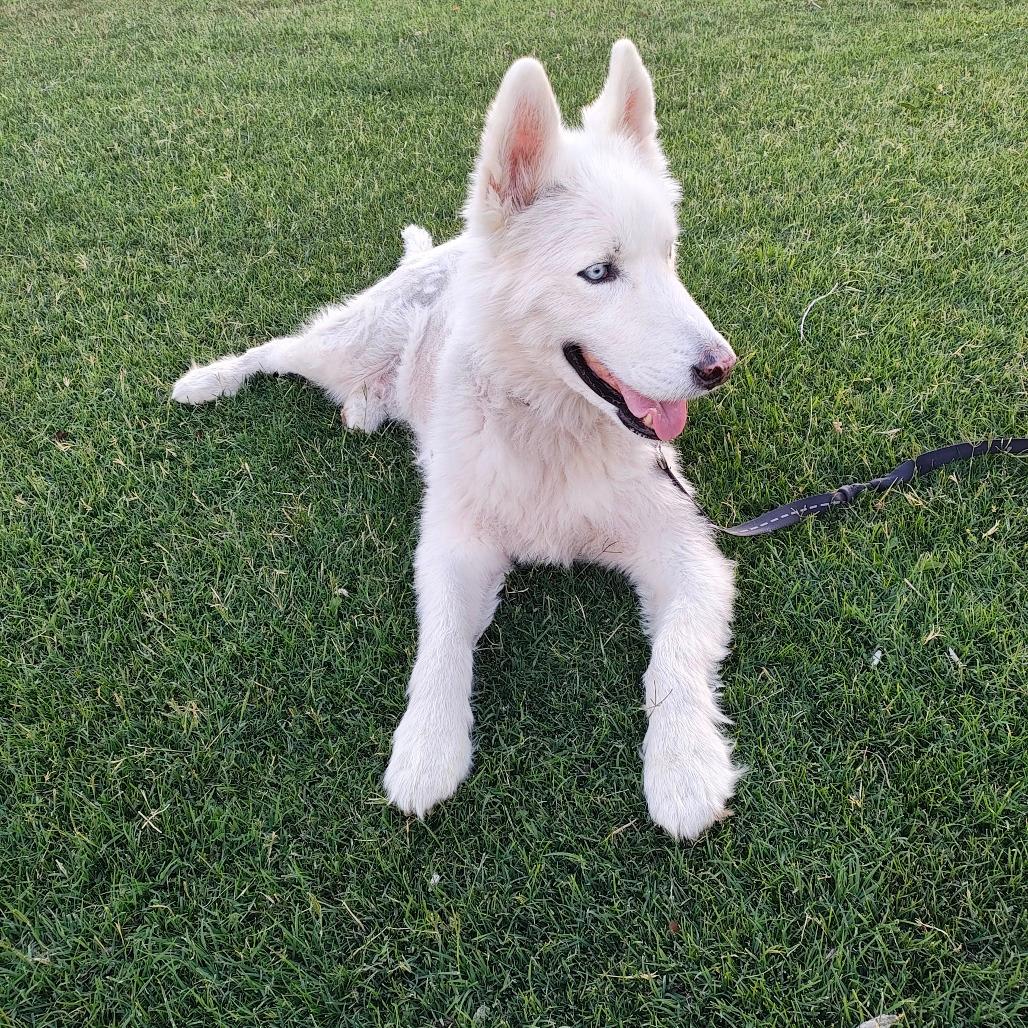 Zeus