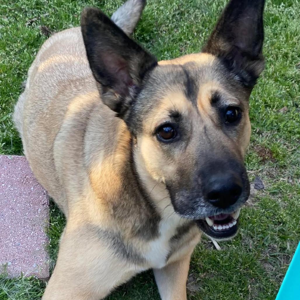 Molly Mae (HW treated)