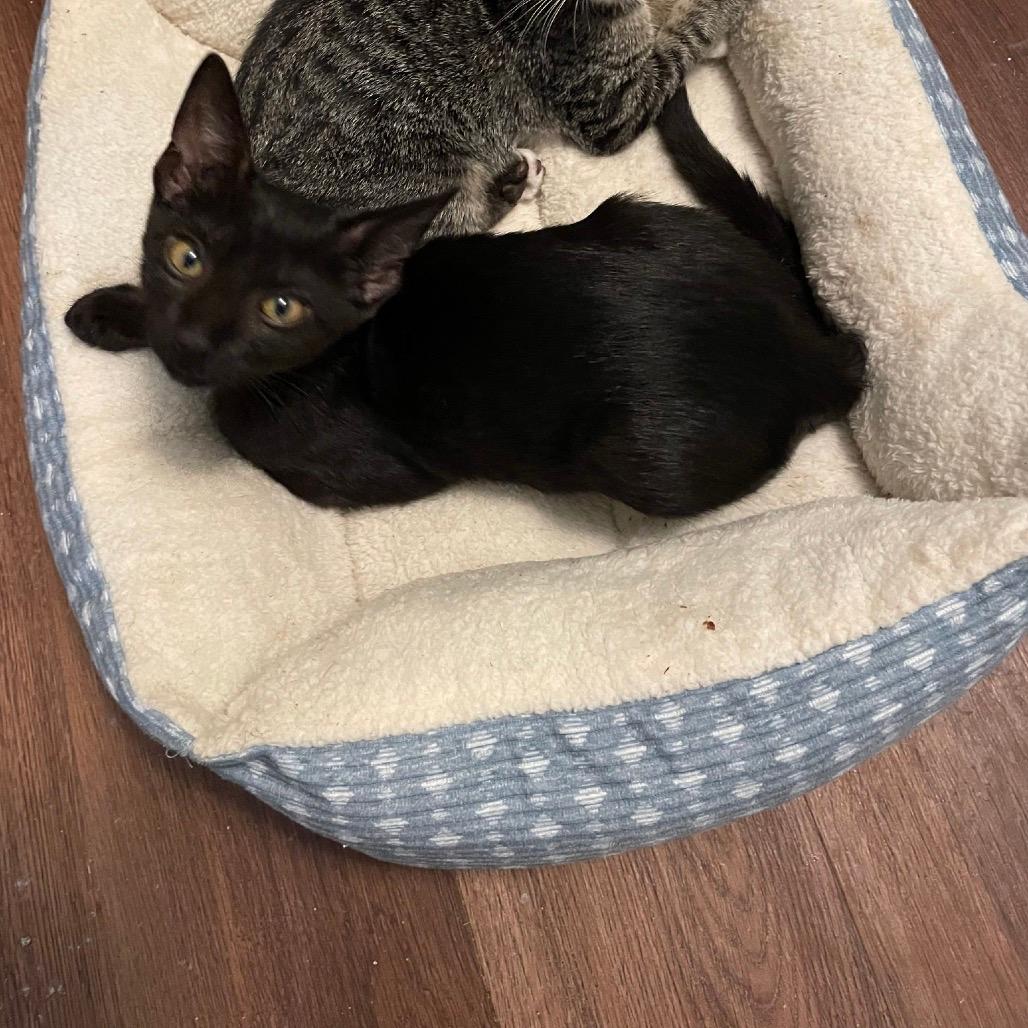 Cammie-Melinda/Sally