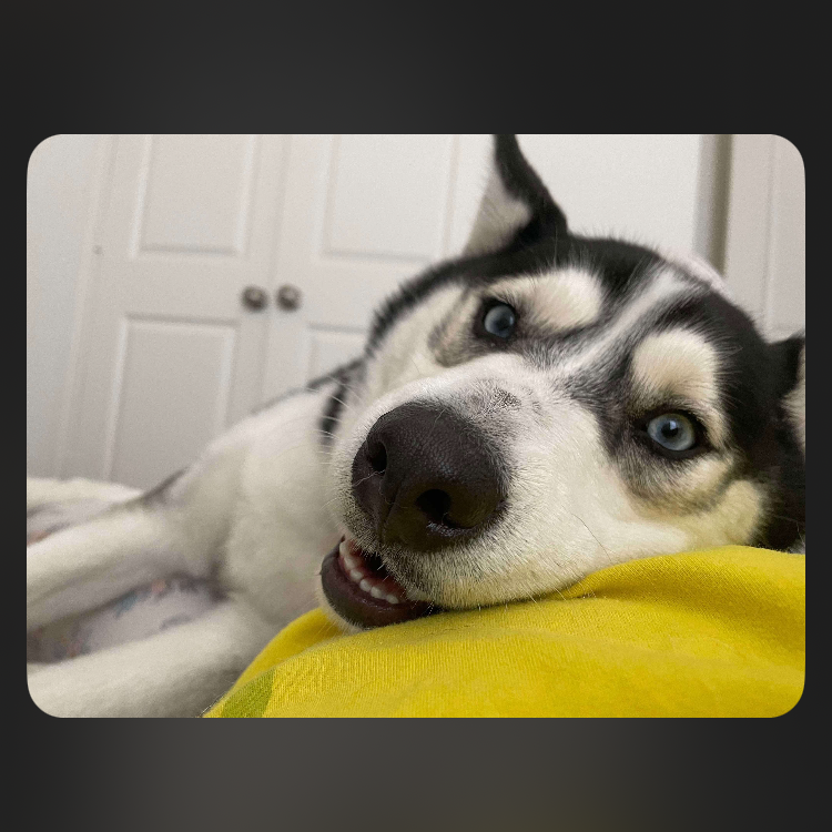 Luna 