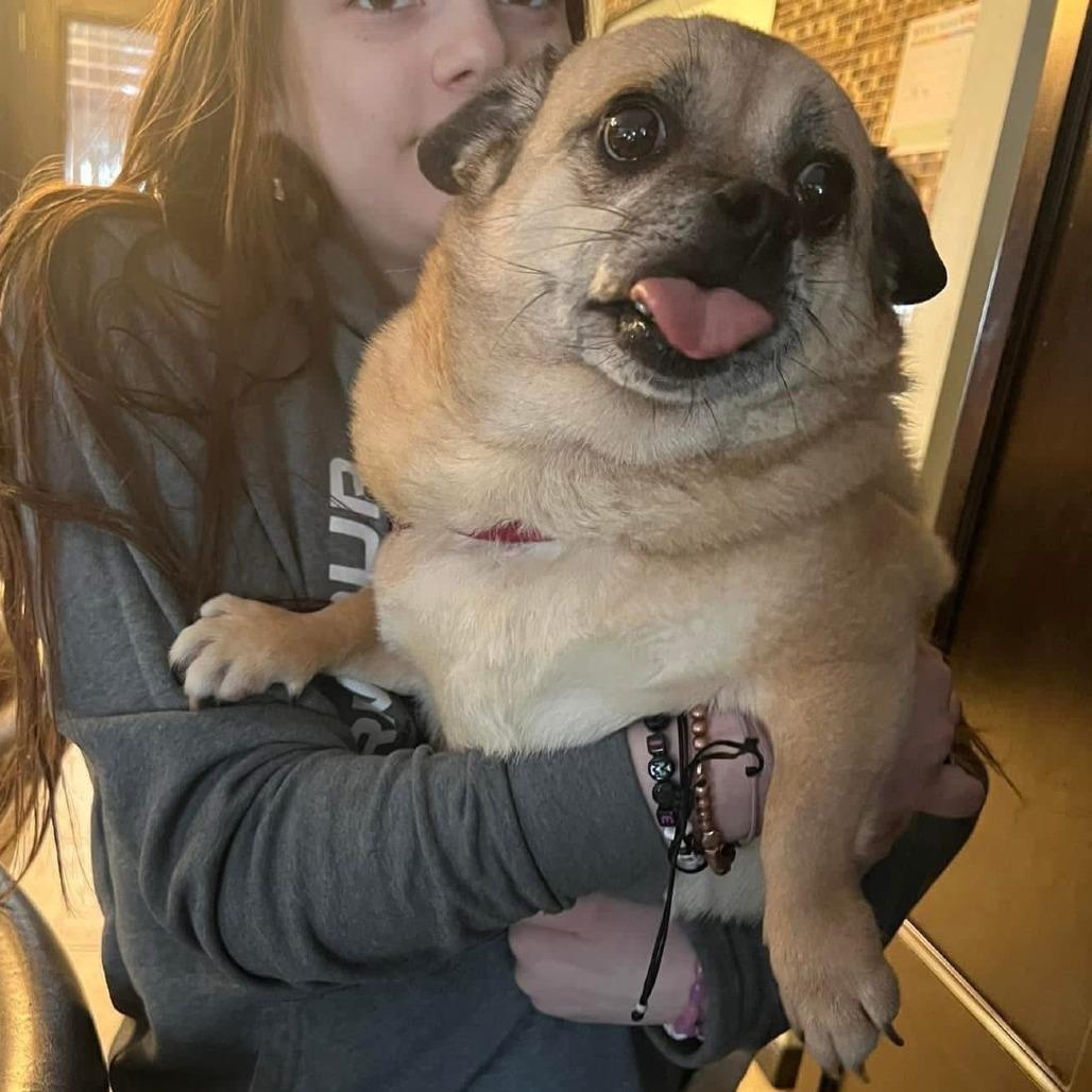 Picture of Sasha 