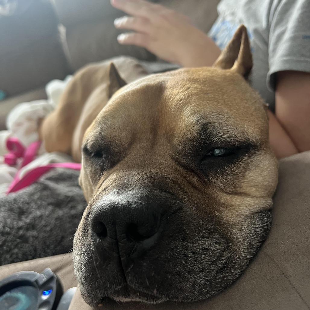 Mama Dawg