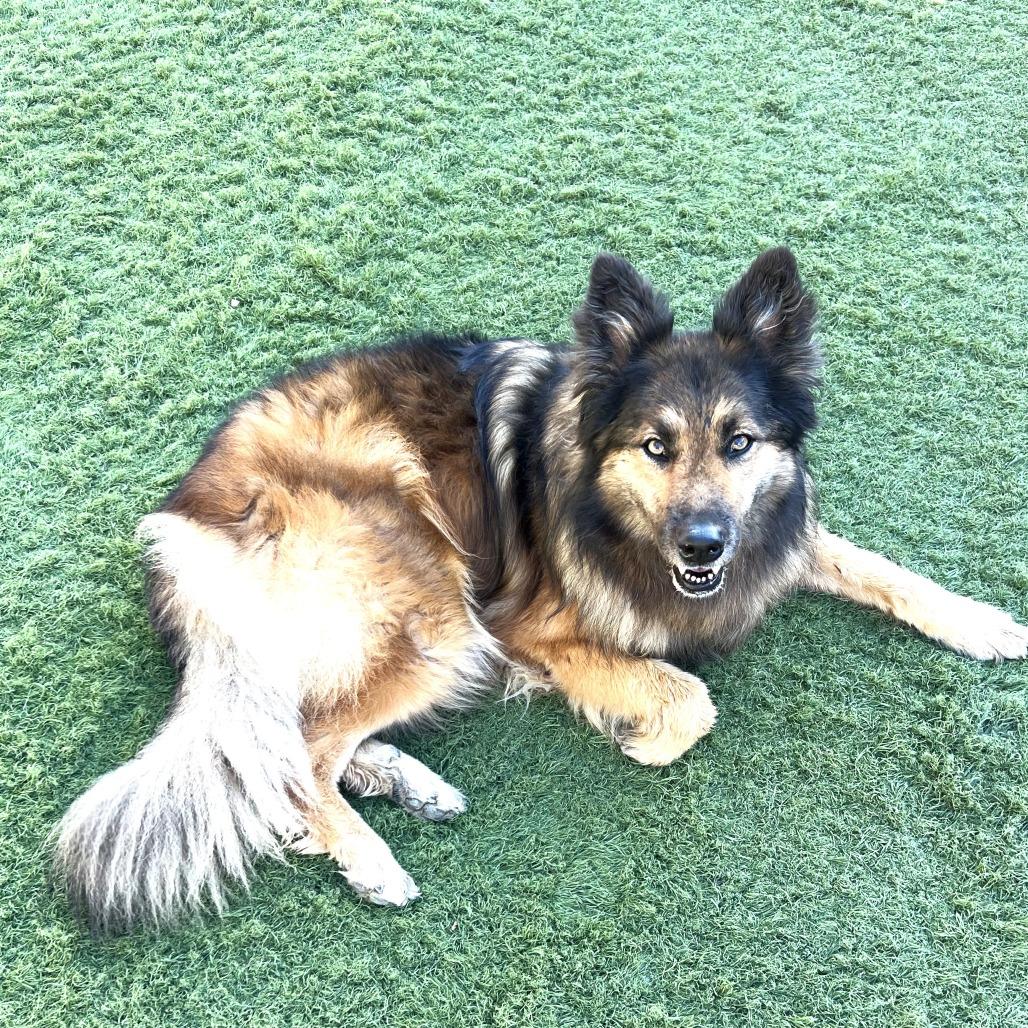 MACY - COURTESY POST