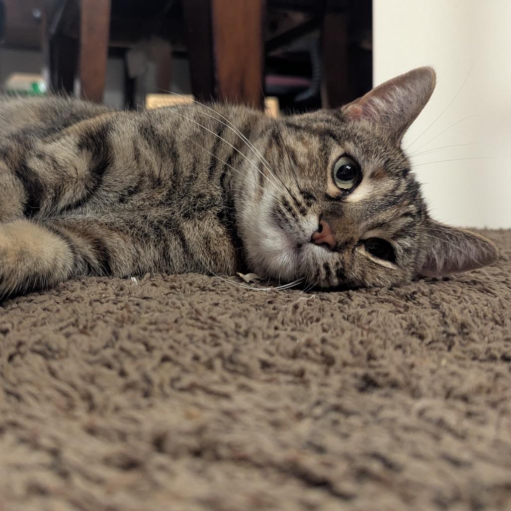 Tigger