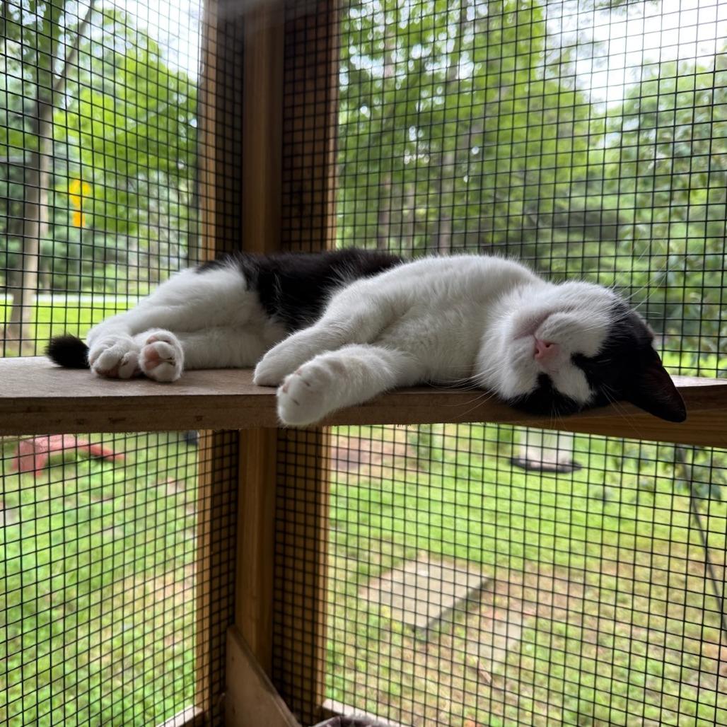 MITZI