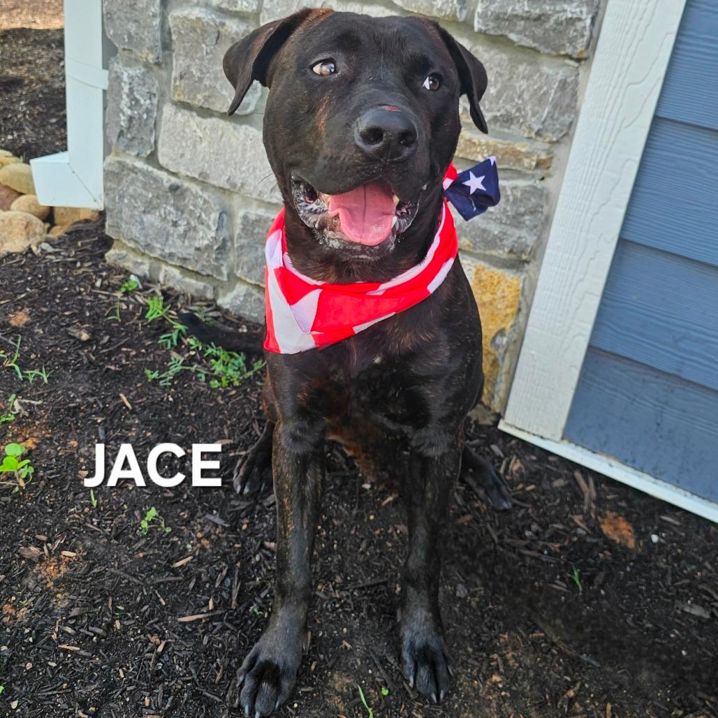 Jace