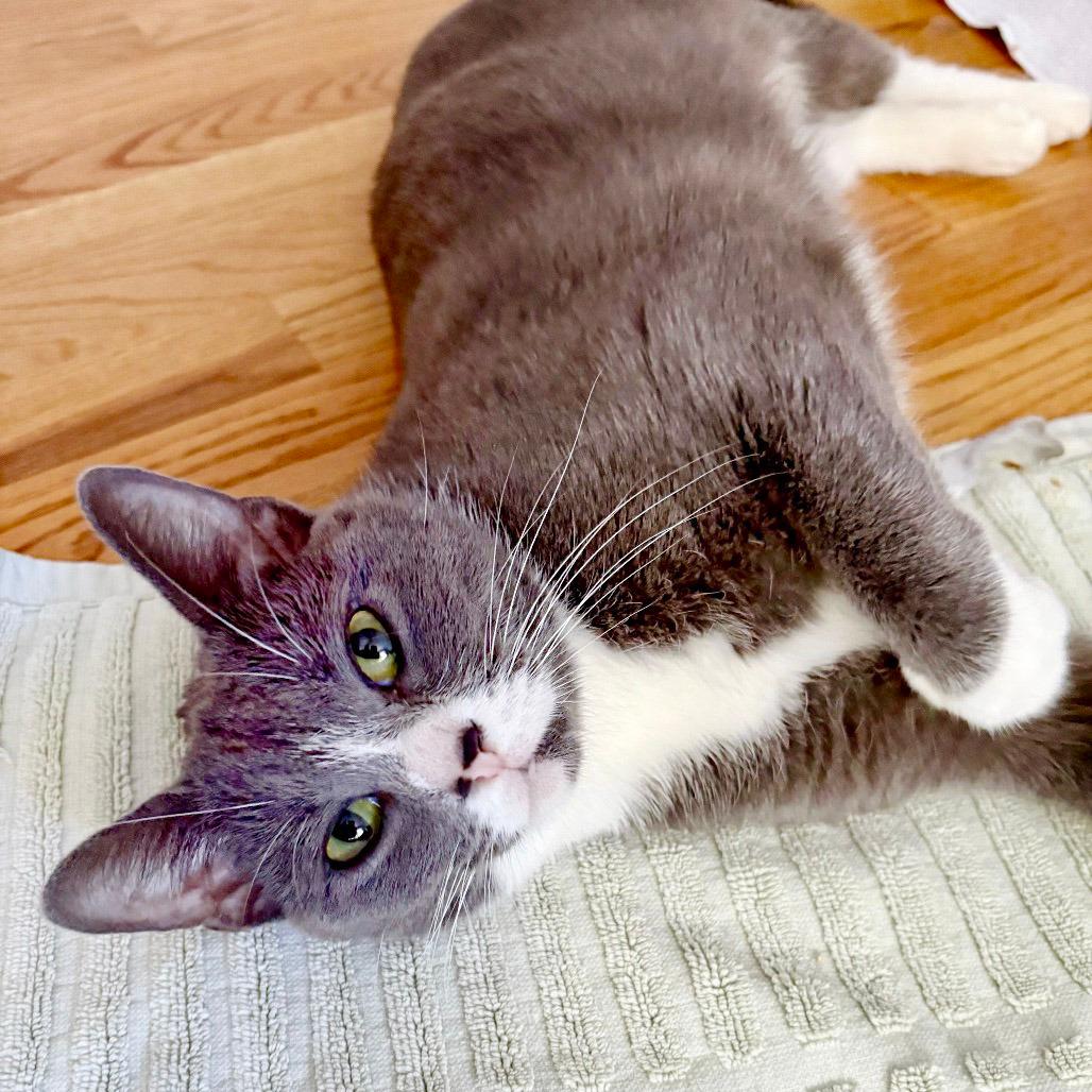 Samantha