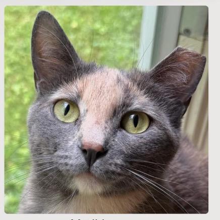 Matilda