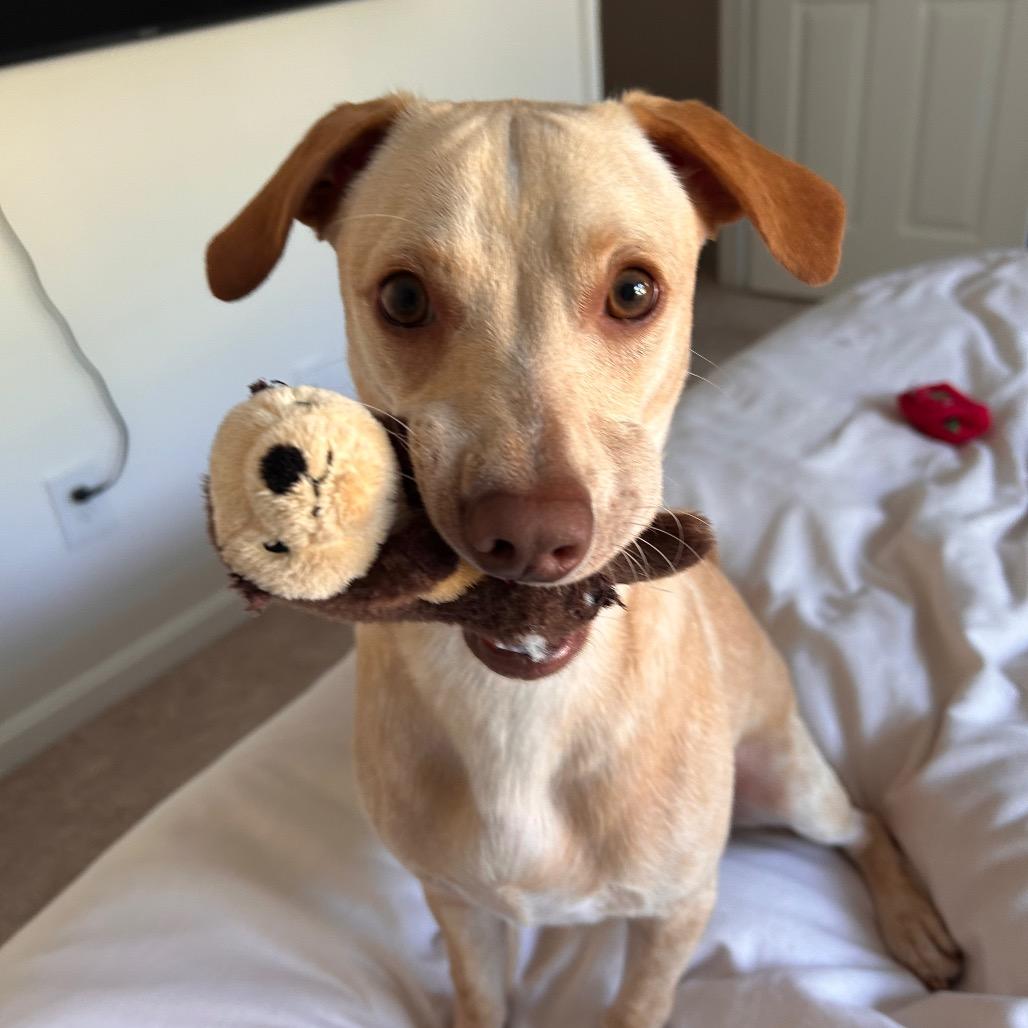 Picture of Arlo