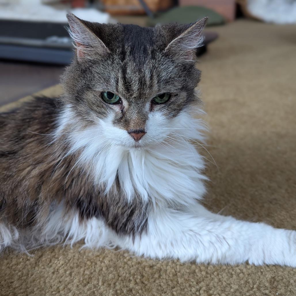 ETHEL