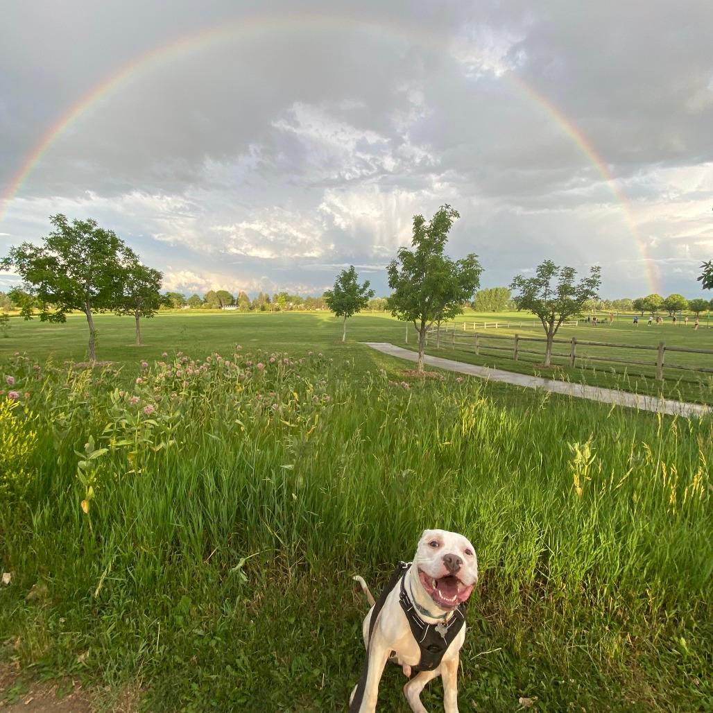Roscoe