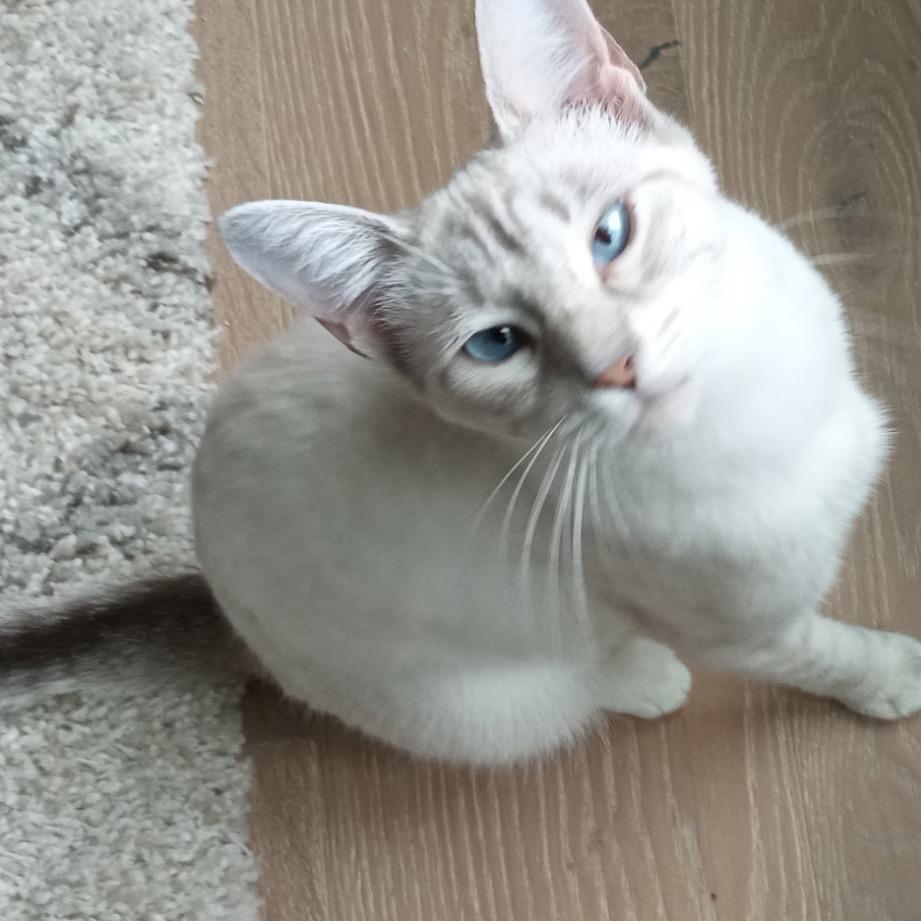 Maggie