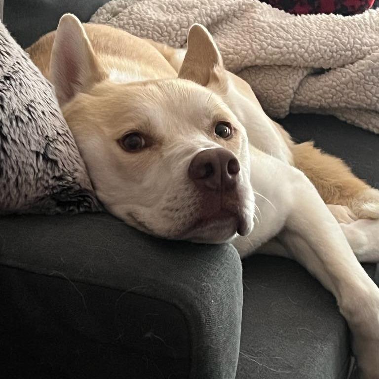 Max