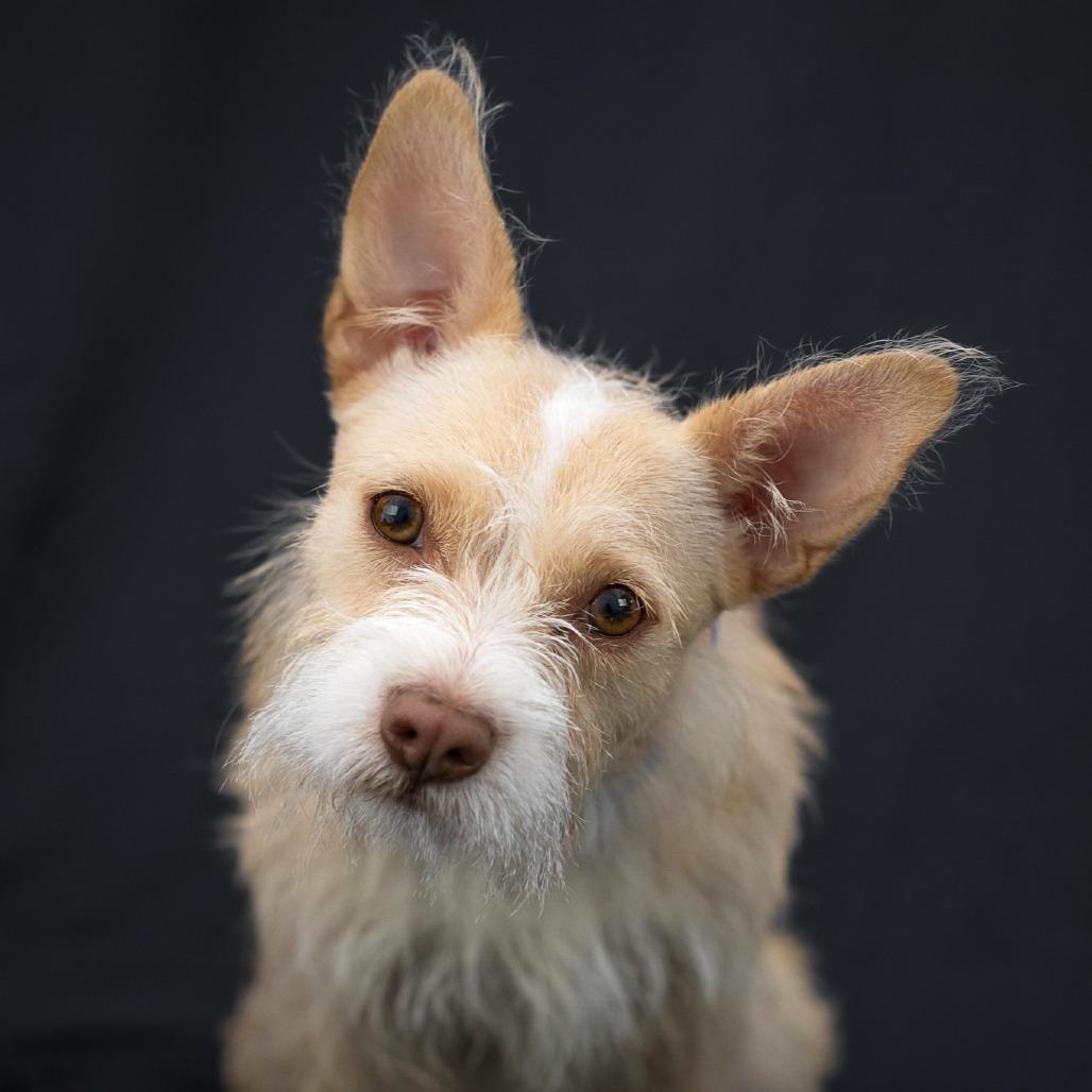Coco