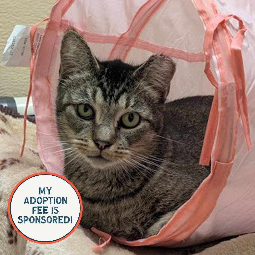 Turnip - IN FOSTER