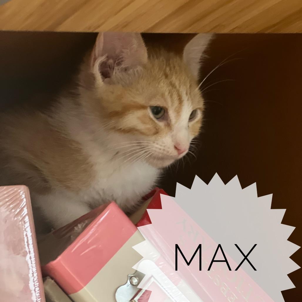 Max