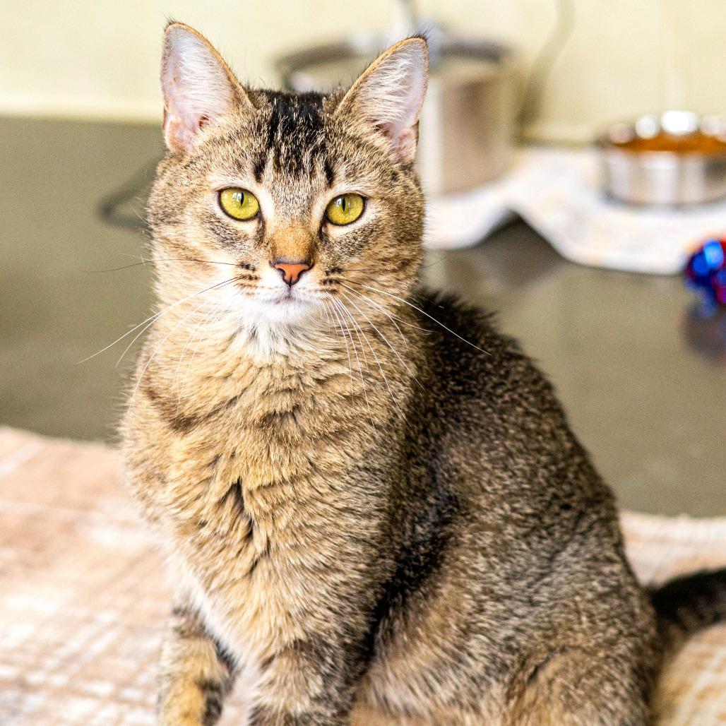 Roxy (bonded with Lori)