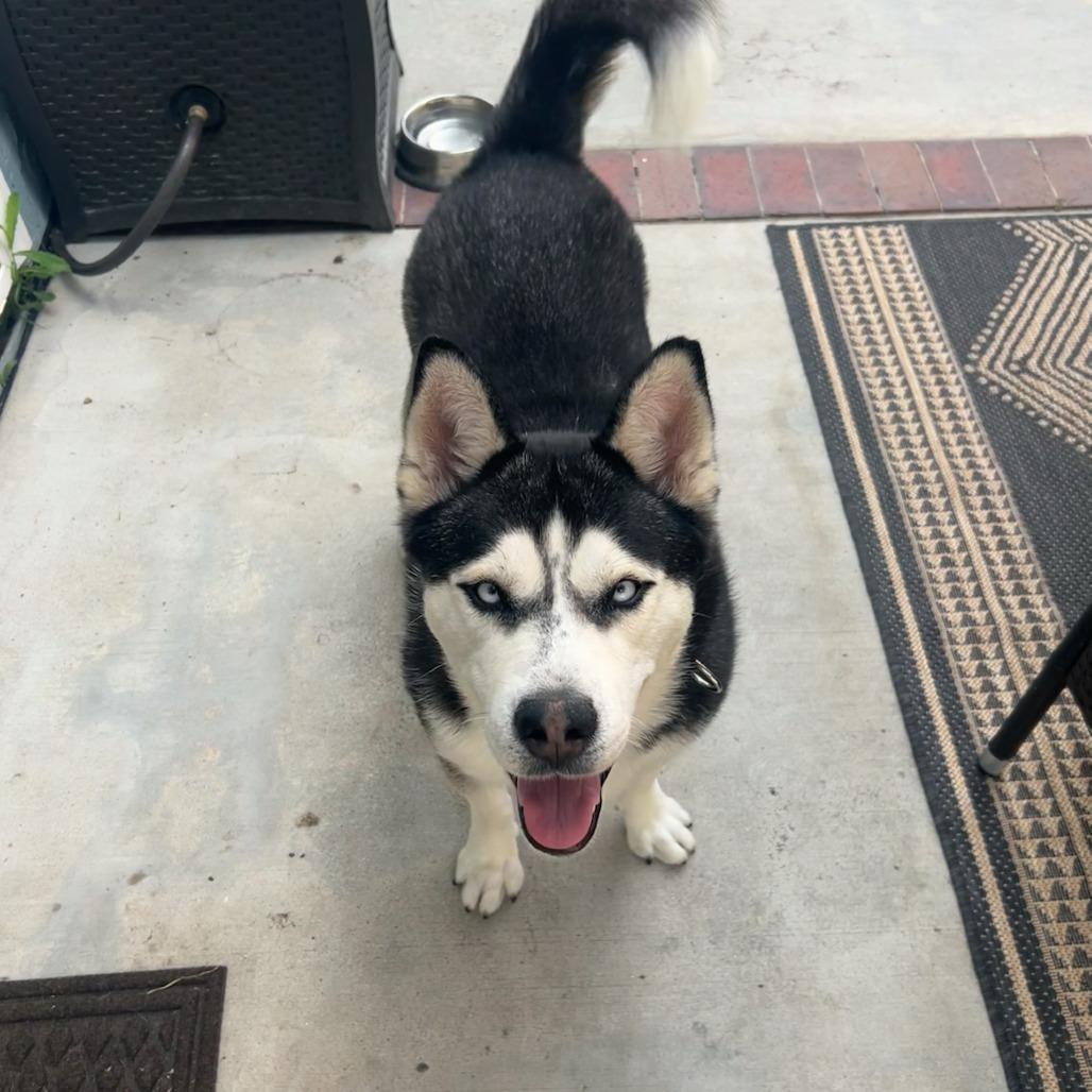 Rico