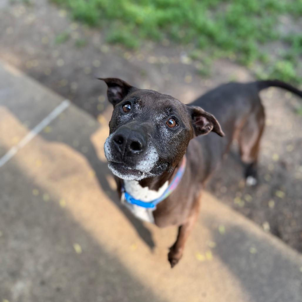 Finn