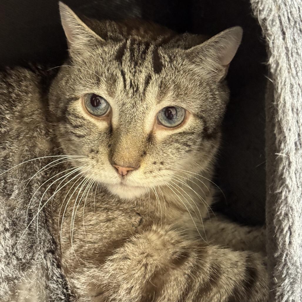 Oscar- IN FOSTER