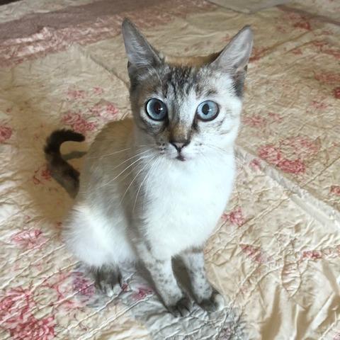 Yuki