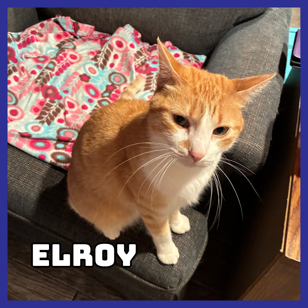 Elroy 