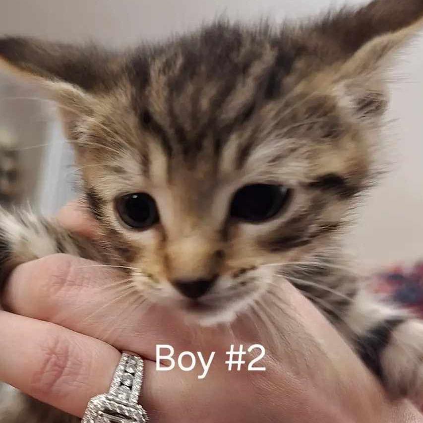 Zion