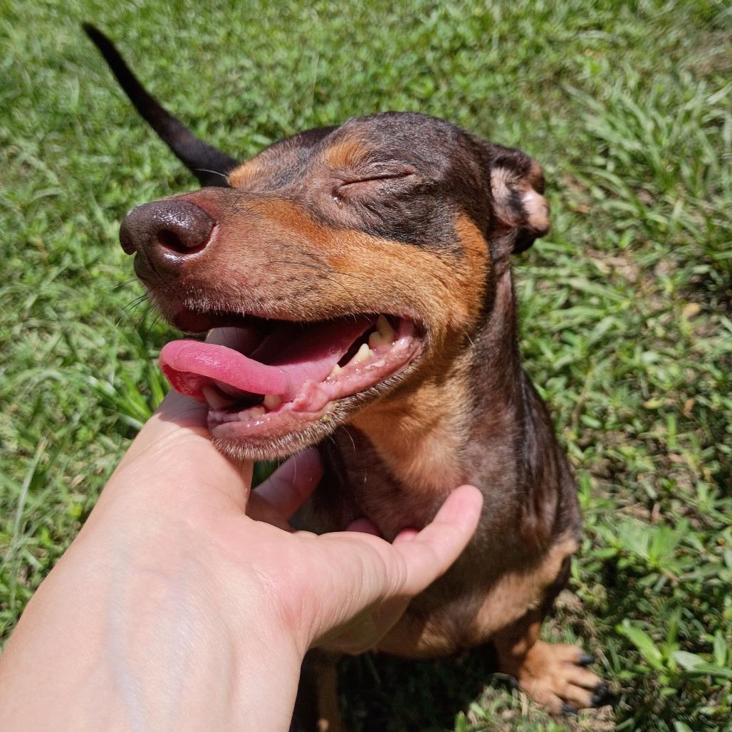 Millo