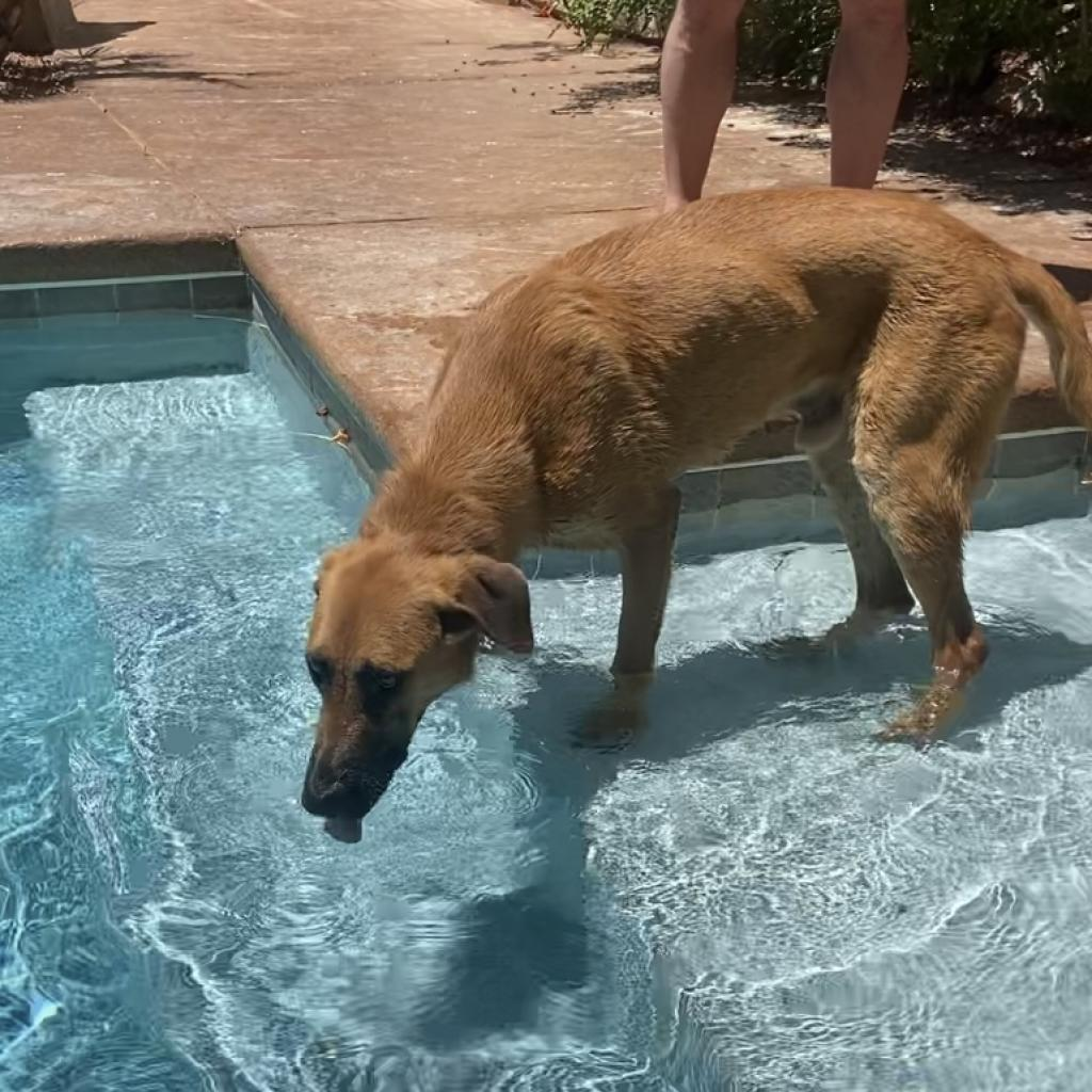 Zeus