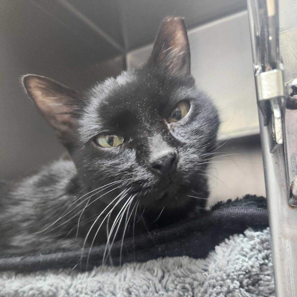 Milburn- ADOPTED 