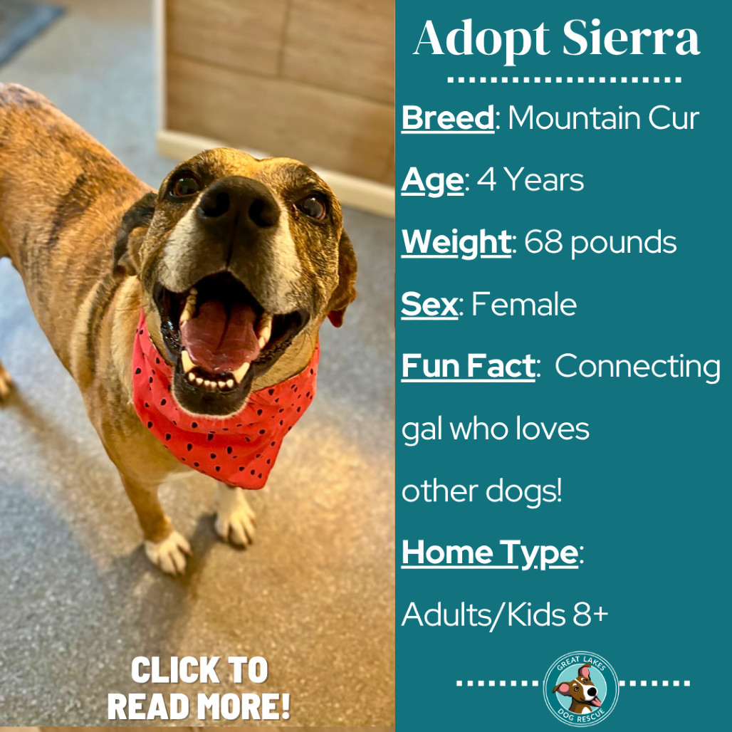 Sierra
