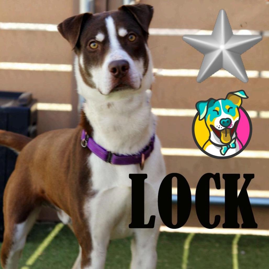 Lock