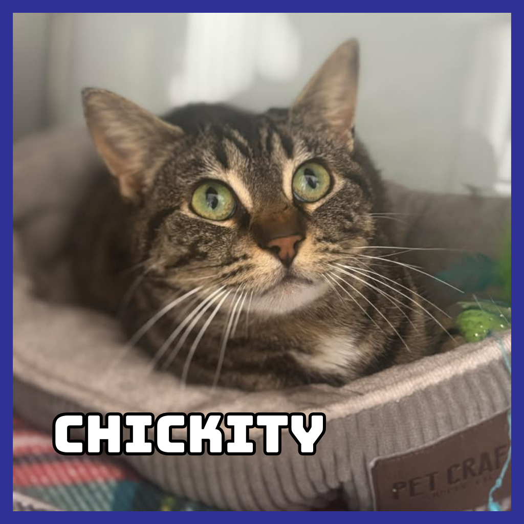 Chickity