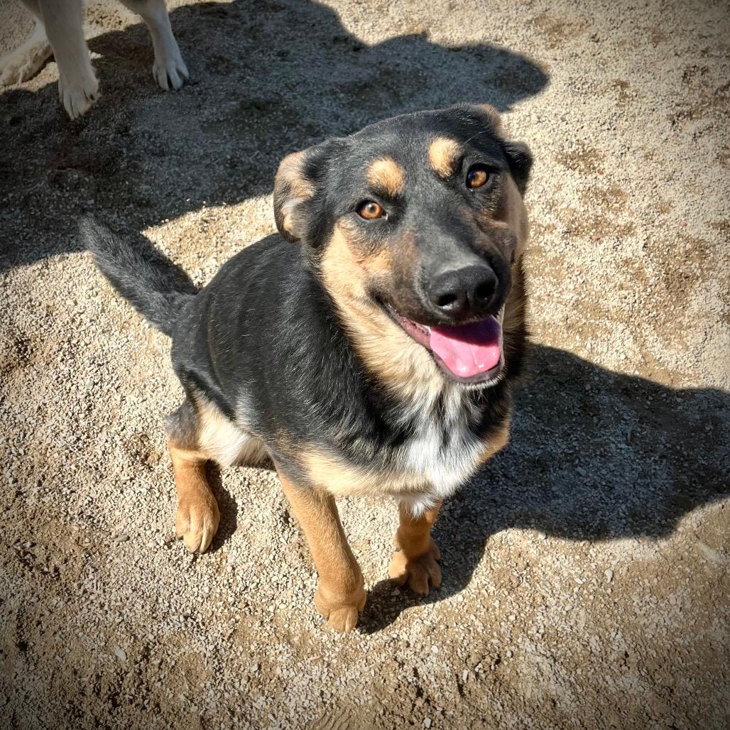 Rosie aka Ethel