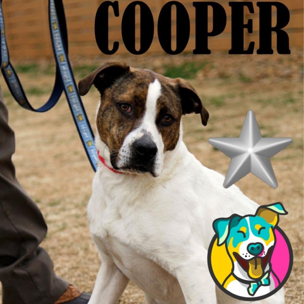 Cooper