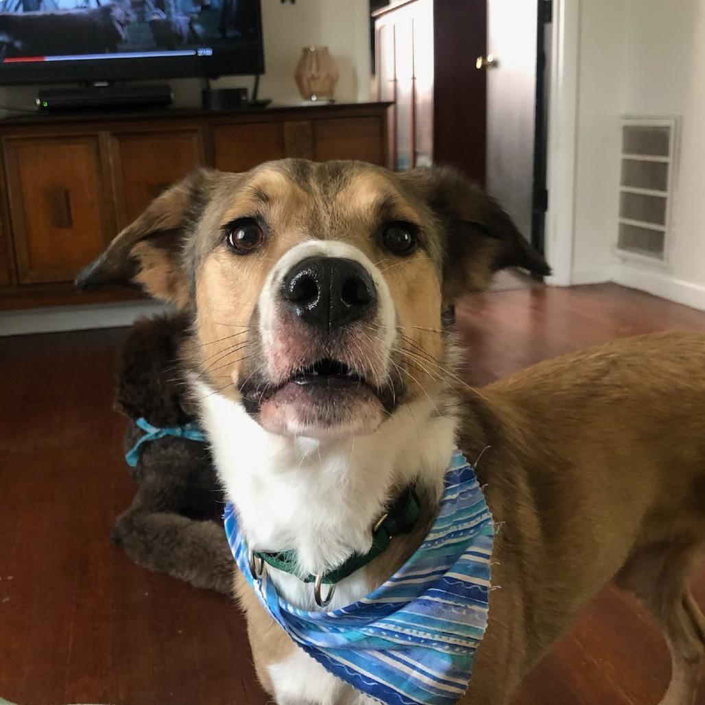 Maverick
