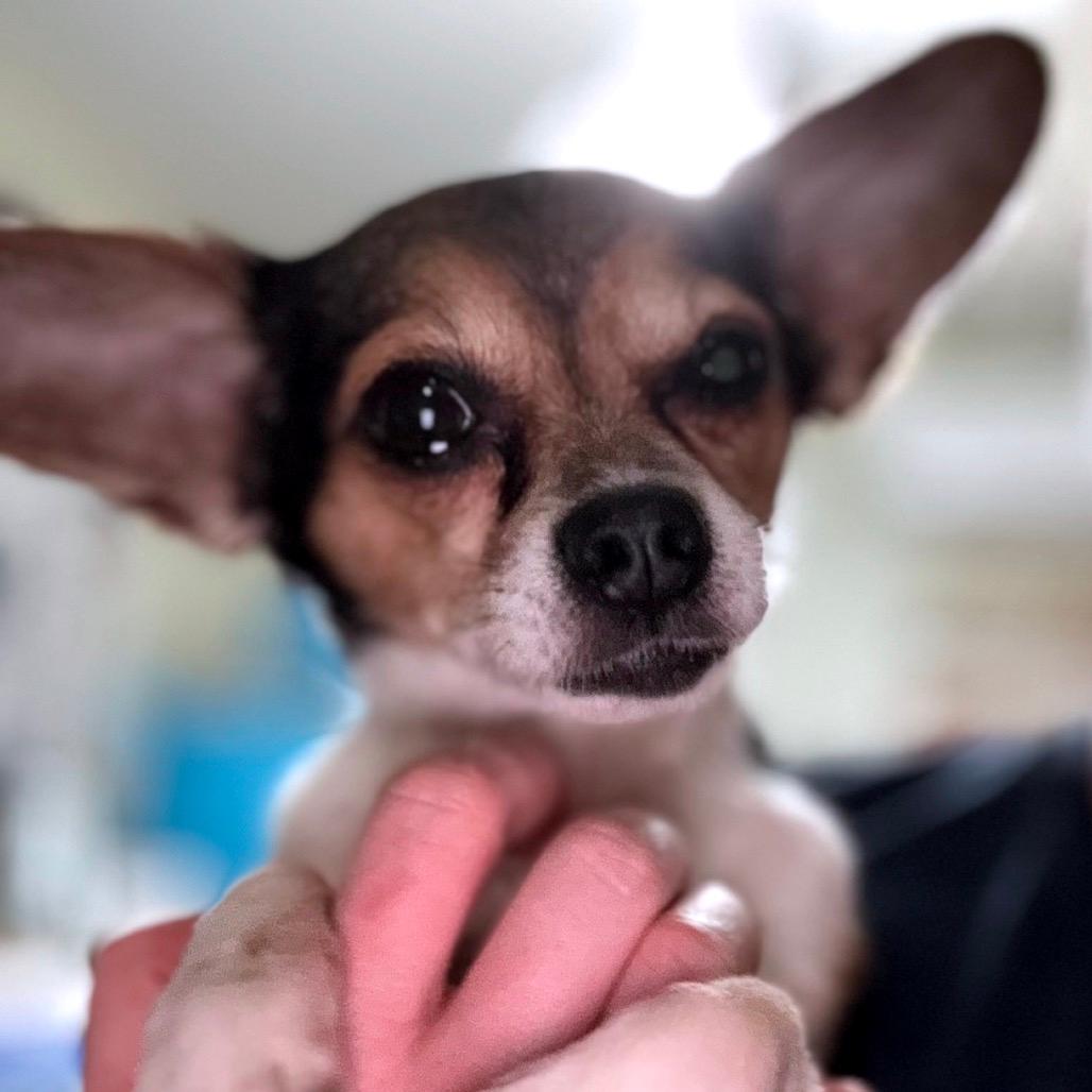 Radar