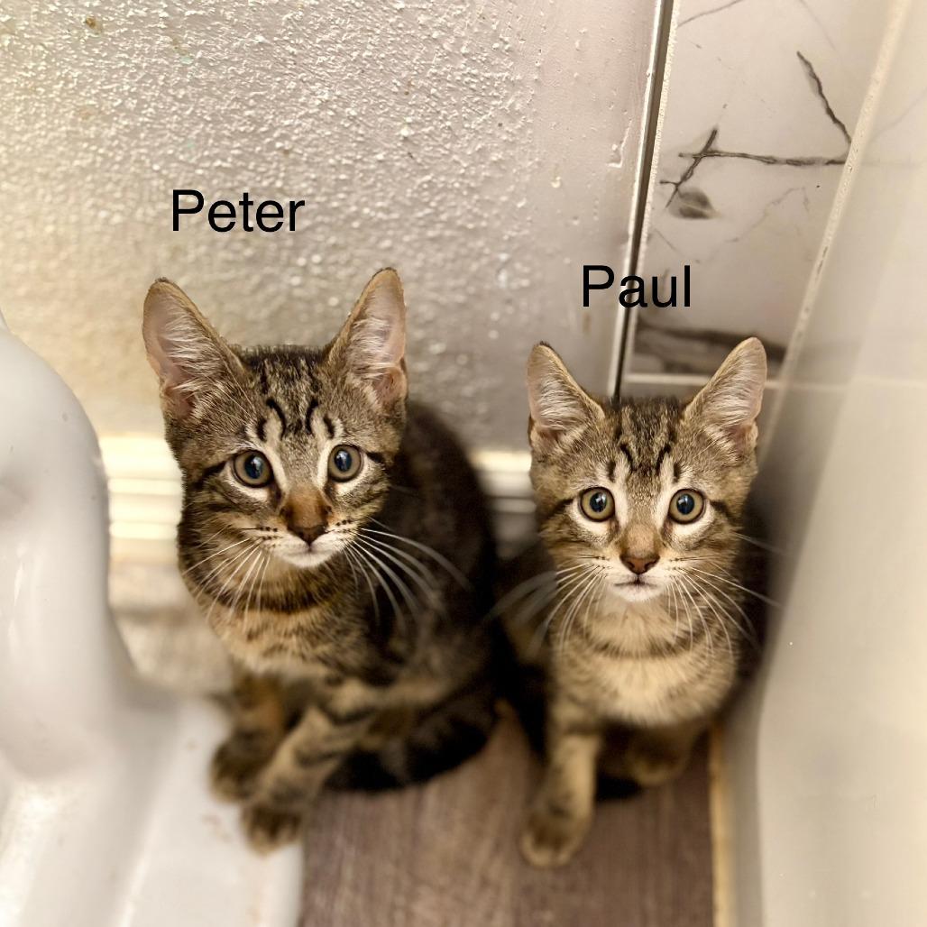 peter-Sarah